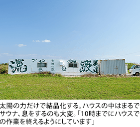 太陽の力だけで結晶化する。ハウスの中はまるでサウナ、息をするのも大変。「10時までにハウスでの作業を終えるようにしています」